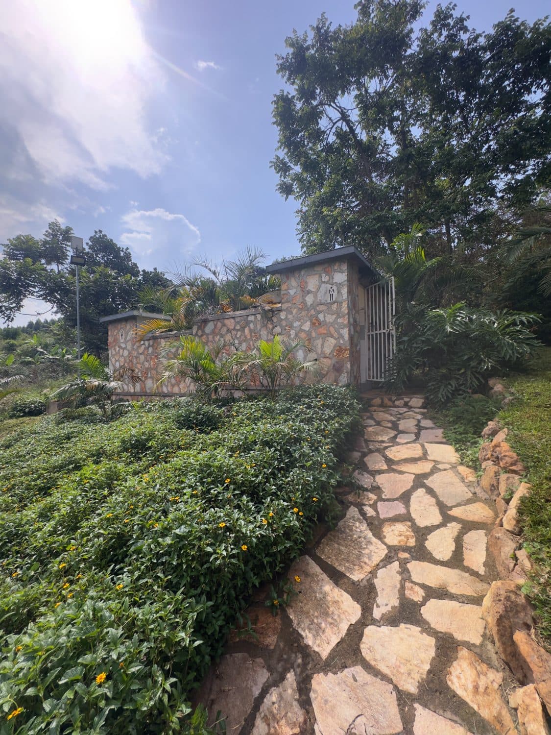 Walking path through the farm grounds