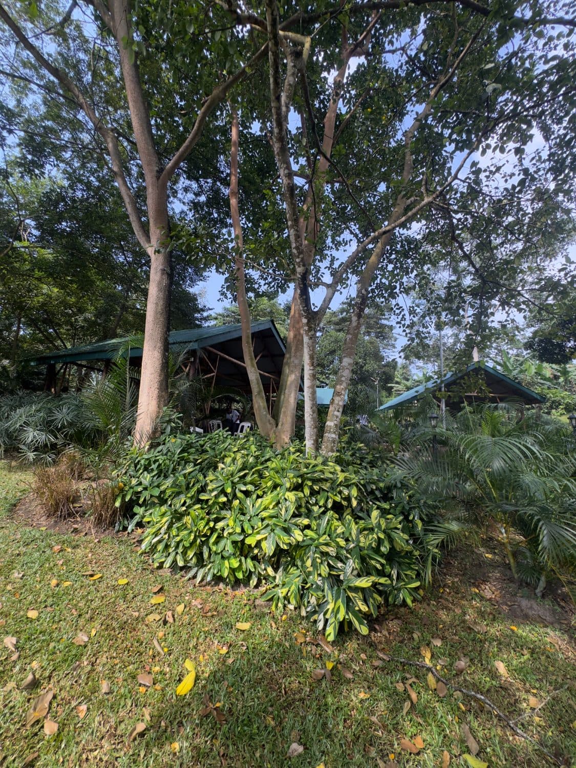 The grounds of Ampumuzza Mixed Farm, home of Eden Inspired Men